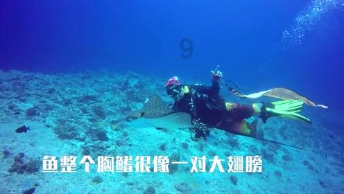 健身房逃生记